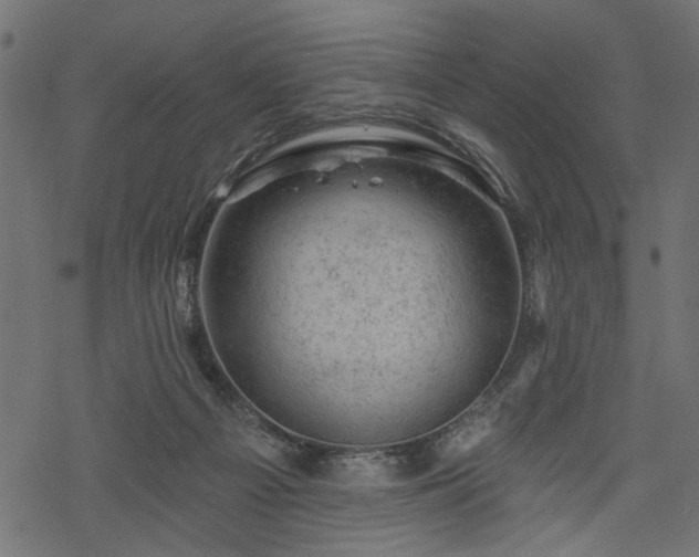 X0000068890121200605081329