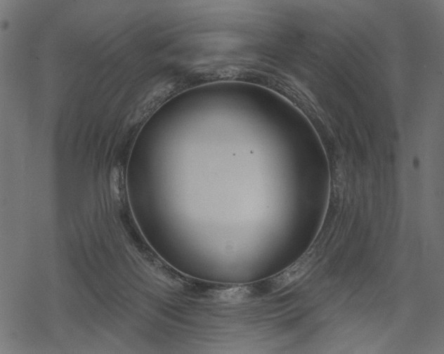 X0000068890122200605081329