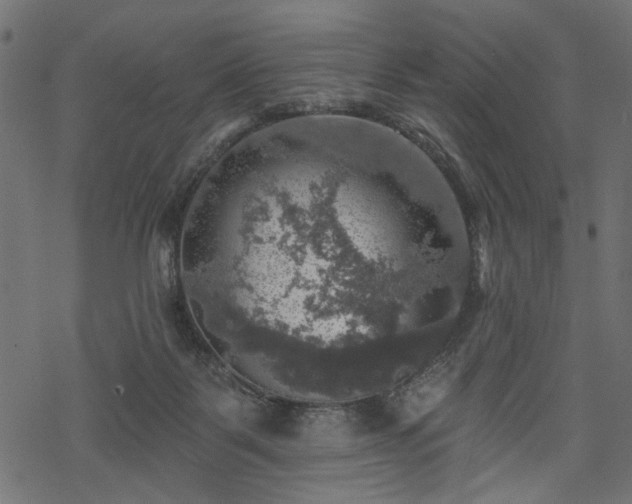 X0000068890123200605081329