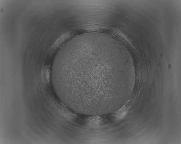 X0000068890124200605081329