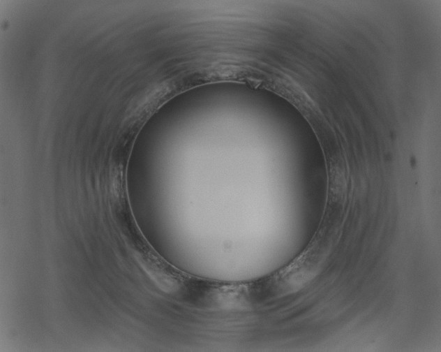 X0000068890126200605081329