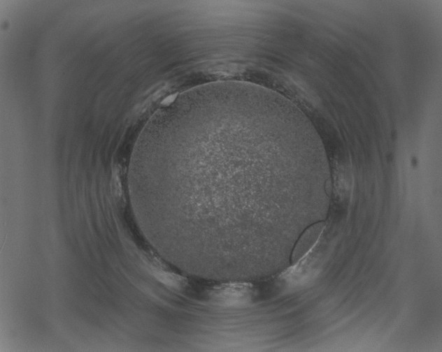 X0000068890128200605081329