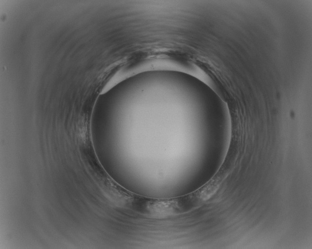 X0000068890129200605081329