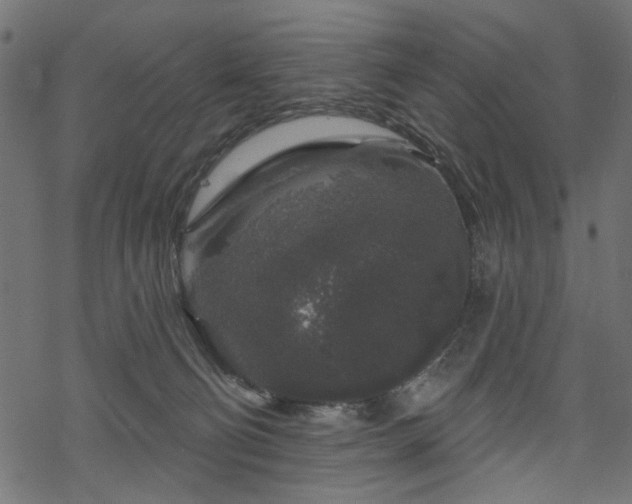 X0000068890130200605081329