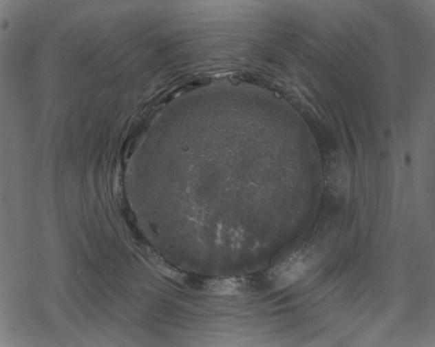 X0000068890131200605081329