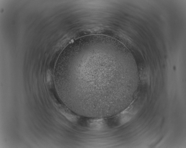 X0000068890132200605081329