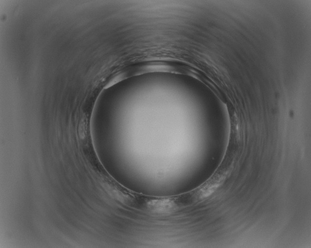 X0000068890133200605081329