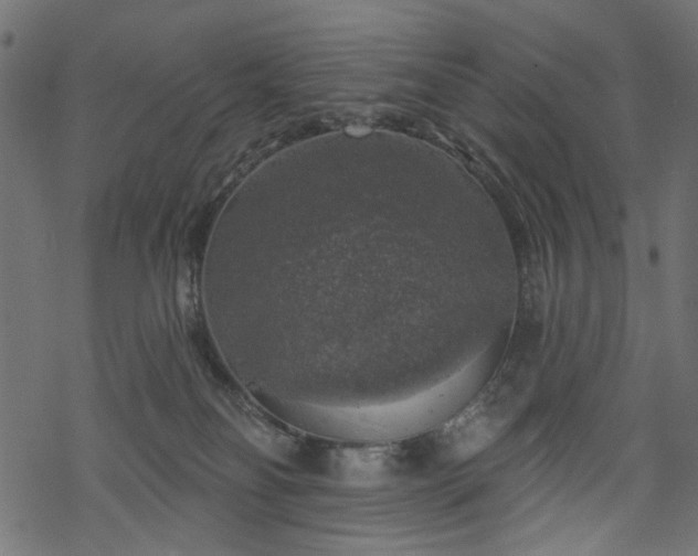 X0000068890134200605081329