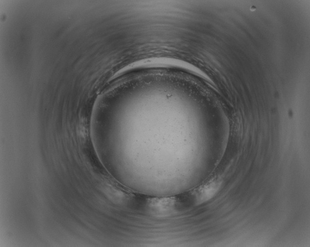 X0000068890135200605081329