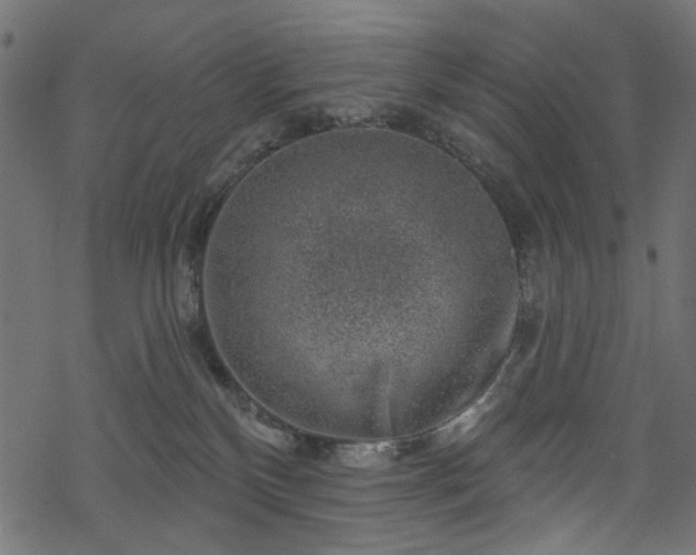 X0000068890136200605081329