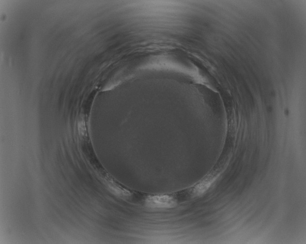 X0000068890137200605081329