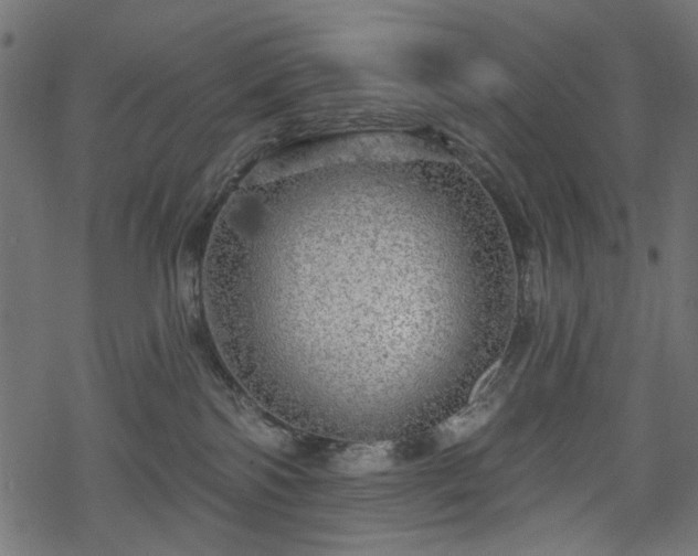 X0000068890138200605081329