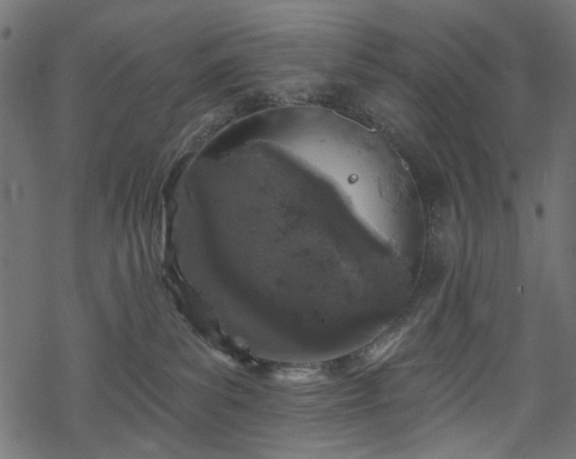 X0000068890139200605081329