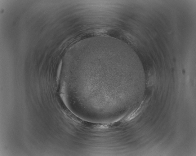 X0000068890140200605081329