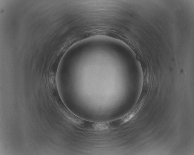 X0000068890141200605081329