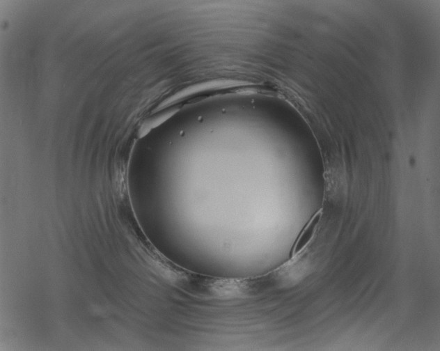 X0000068890142200605081329