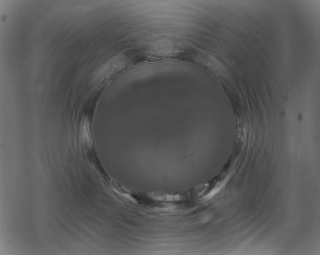 X0000068890143200605081329