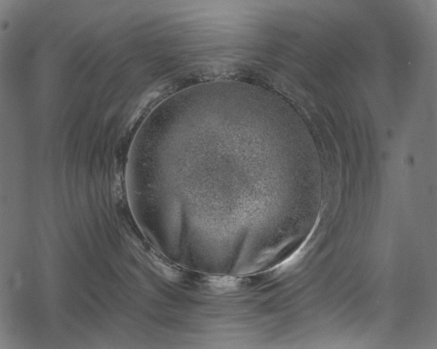 X0000068890144200605081329