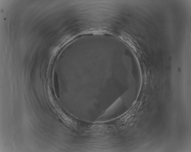 X0000068890145200605081328