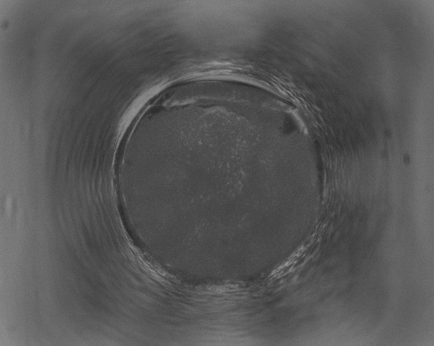 X0000068890147200605081328