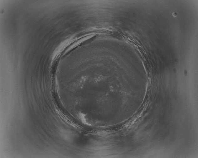 X0000068890149200605081328