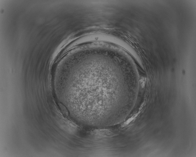 X0000068890150200605081328