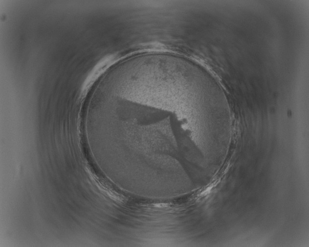 X0000068890151200605081328