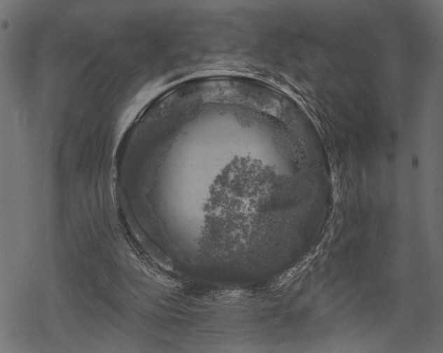 X0000068890152200605081328