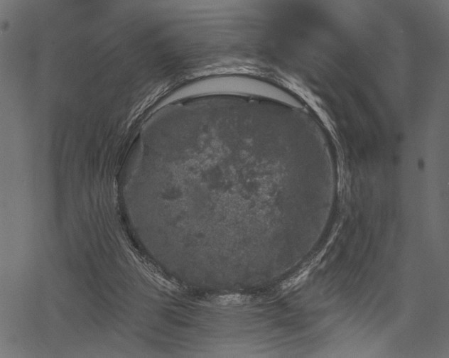 X0000068890153200605081328