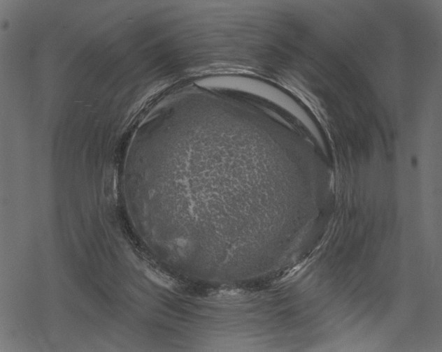 X0000068890157200605081328