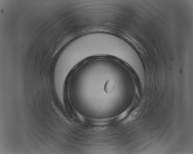 X0000068890158200605081328