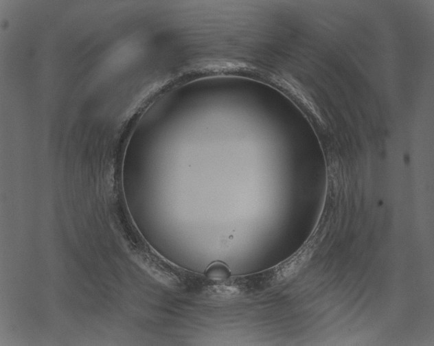 X0000068890159200605081328