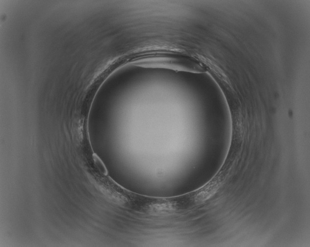 X0000068890160200605081328