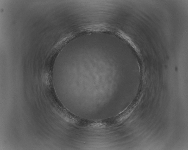 X0000068890161200605081328