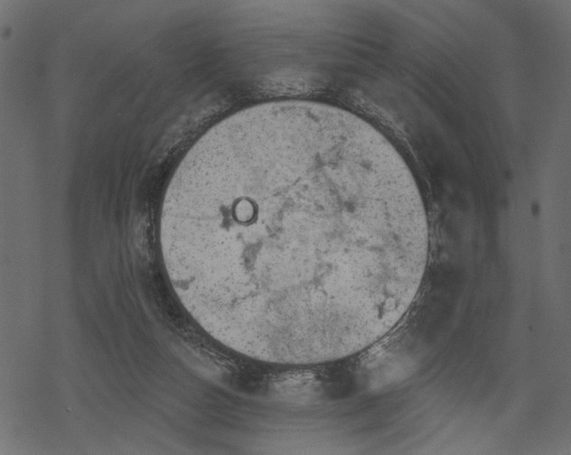 X0000068890162200605081329