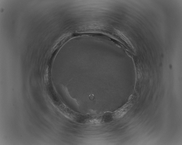 X0000068890163200605081329