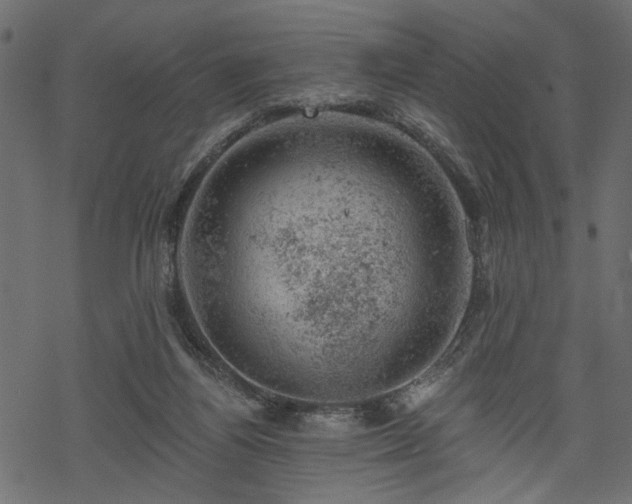 X0000068890164200605081329