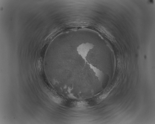 X0000068890165200605081329