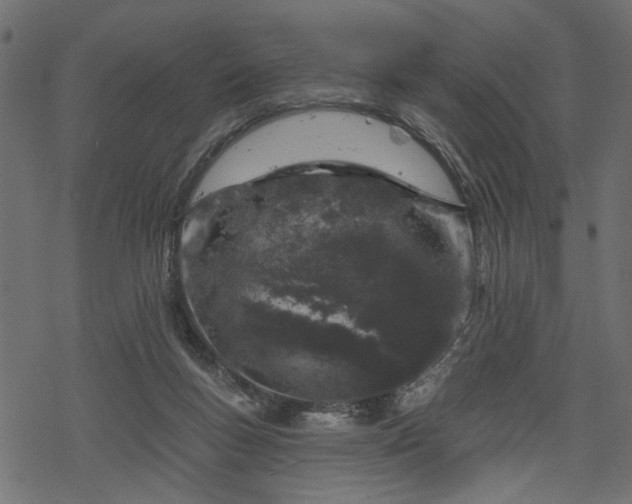 X0000068890167200605081329