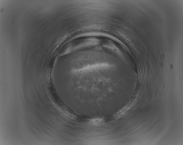 X0000068890168200605081329