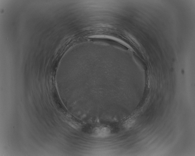 X0000068890169200605081329