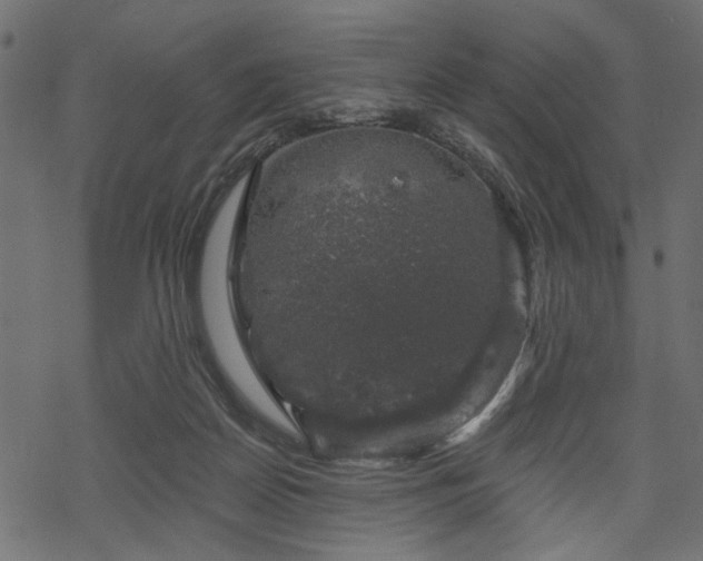 X0000068890170200605081329