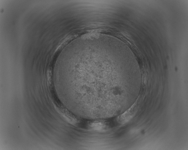 X0000068890171200605081329