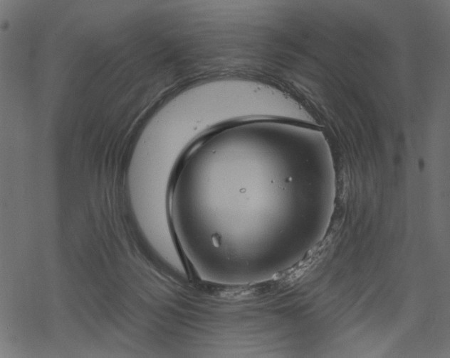 X0000068890172200605081329