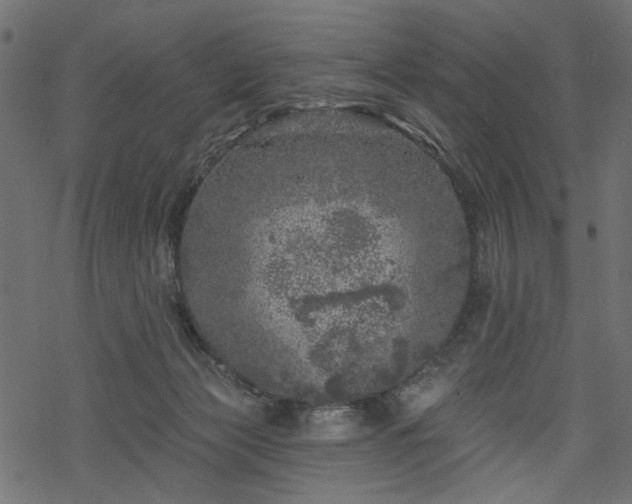 X0000068890173200605081329