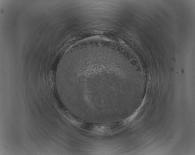 X0000068890174200605081329