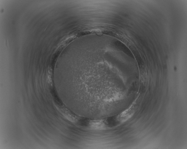 X0000068890175200605081329