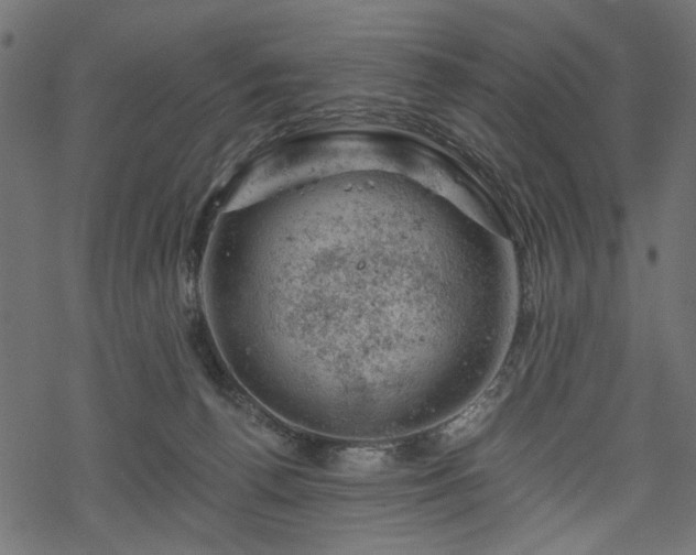 X0000068890176200605081329