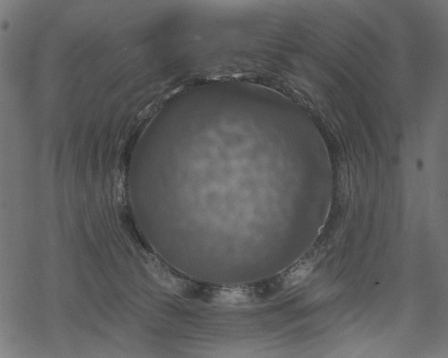 X0000068890177200605081329