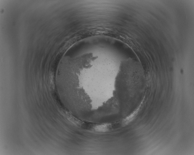 X0000068890178200605081329